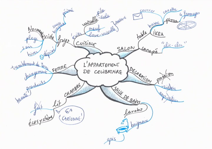 appart-celibataire-5